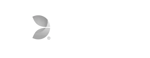 Hay juegos de Evolution disponibles